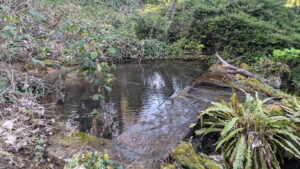 Source du Parc Gounot