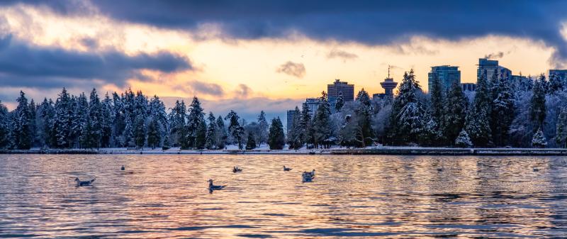 Stanley Park during winter