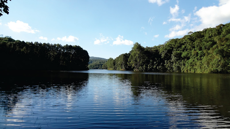 State Park Cantareira Core Cabuçu