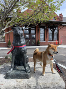 Statue Of Hachi