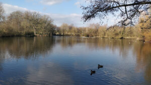 Stephenstown Pond