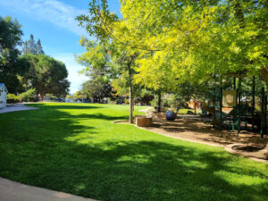 Stojanovich Family Park