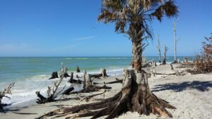 Stump Pass Beach State Park