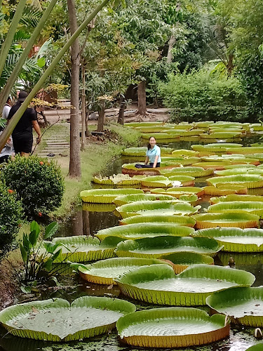 Suan Malai Victoria Water Lily Agrotourism