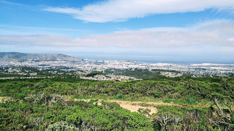 Sweeney Ridge Trail