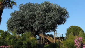 Swiss Family Treehouse 1992