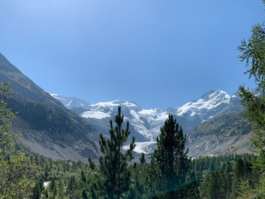 Majestic Swiss National Park