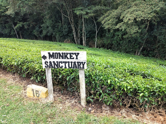 Tagabi Monkey Sanctuary