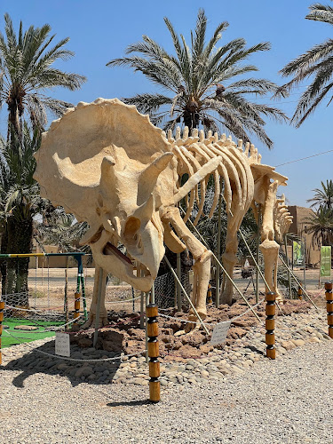 Tahiri museum of fossils Travel Forum Reviews