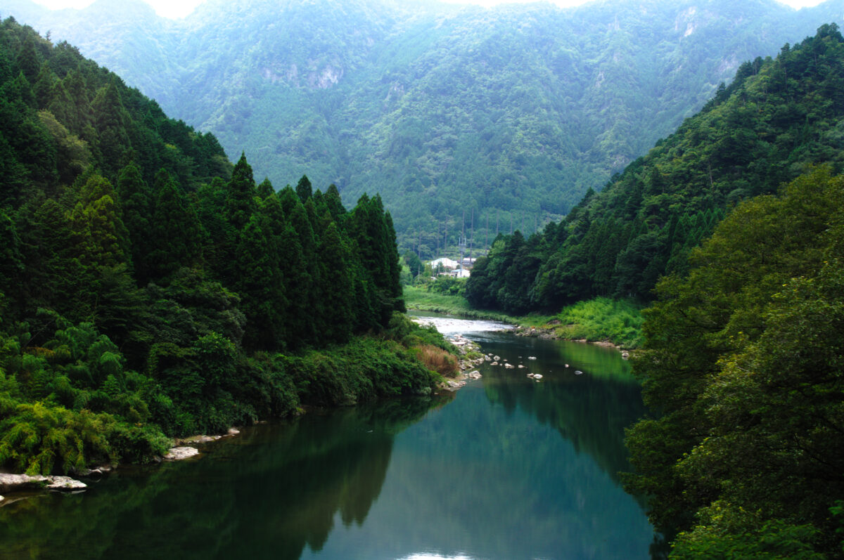 Takayama old town walking tour with local guide Review