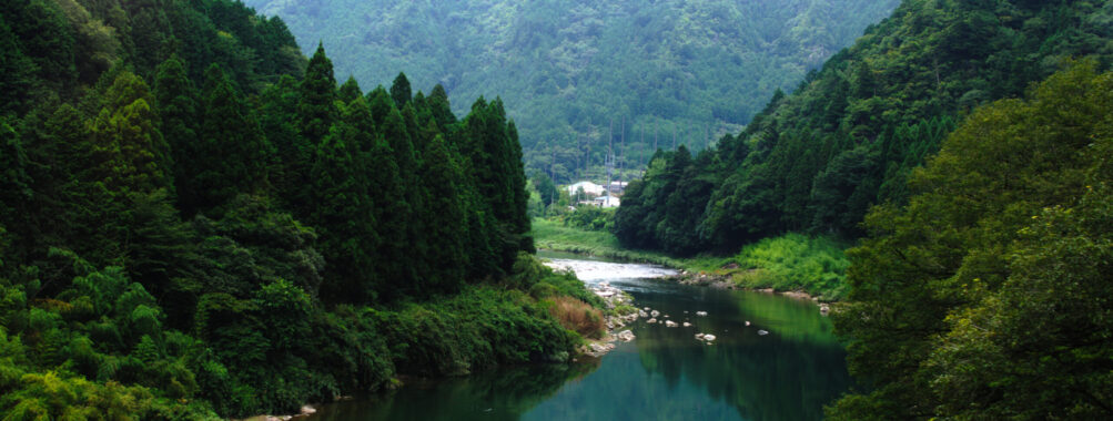 Takayama old town walking tour with local guide Review