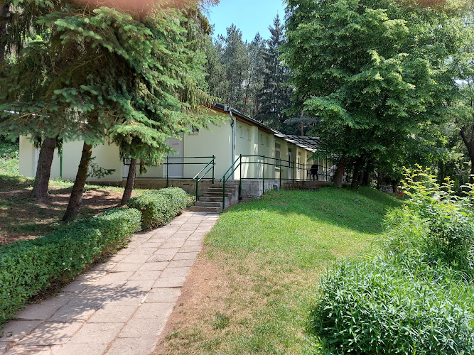 Tarjáni Children’s Camp