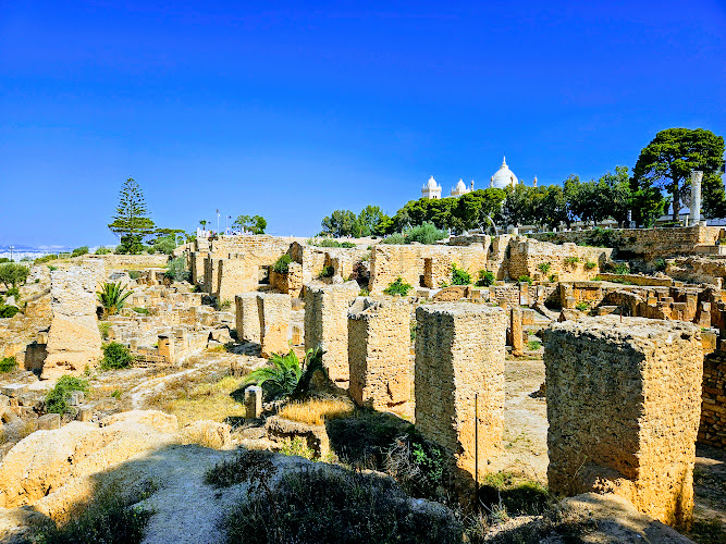 The Archaeological Site of Carthage