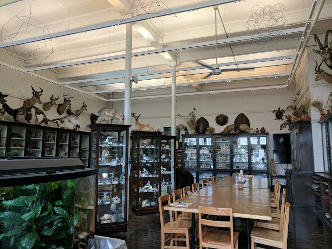 The Edna W. Lawrence Nature Lab at Rhode Island School of Design