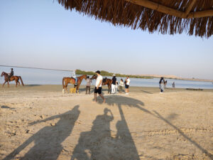 The Mangrove Beach | شاطئ القرم