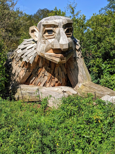 The Morton Arboretum