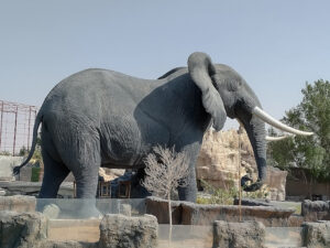 The Zoo Wild Life Park Umm Al Quwain