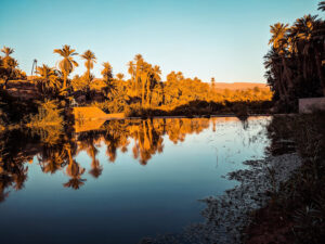 Tindouf