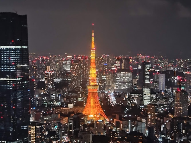 Tokyo City View