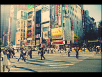 Kamakura Through Time, Hiking, and Writing Sutras Review