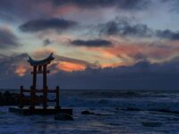 Torii Gate Hokkaido