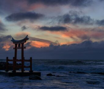 Torii Gate Hokkaido