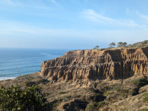 Torrey Pines State Natural Reserve