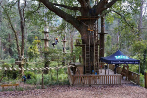 Treetops Adventure Belgrave