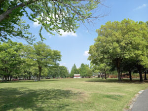 Tsutsujigaoka Park