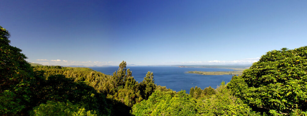 Return transfer to Tongariro Alpine Crossing from T≈´rangi Review