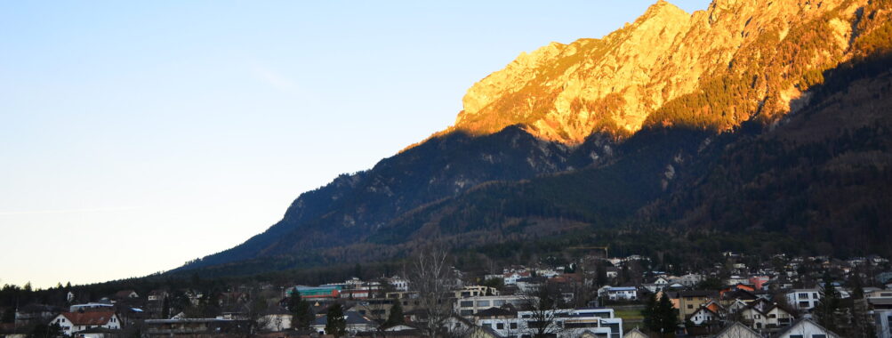 1-hour small group tour of Vaduz with a local Review