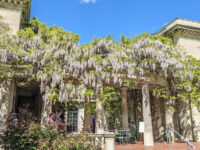 Van Vleck House & Gardens Travel Forum Reviews