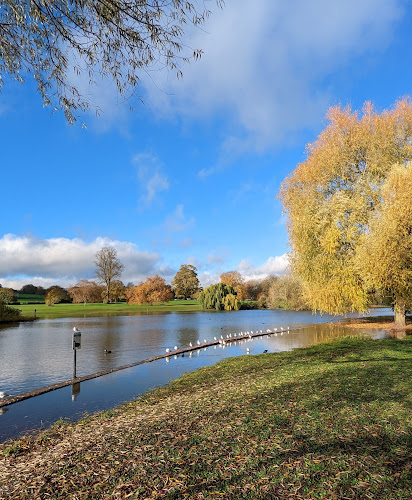 Verulamium Park