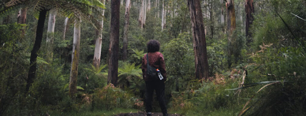 Villages of Mt Dandenong Travel Forum Reviews