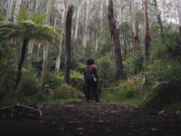 Villages of Mt Dandenong Travel Forum Reviews