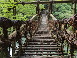 Vine Bridge in the Iya Valley