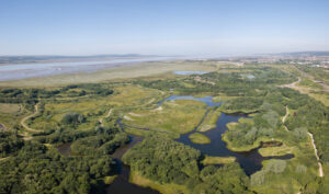 WWT Llanelli Wetland Centre