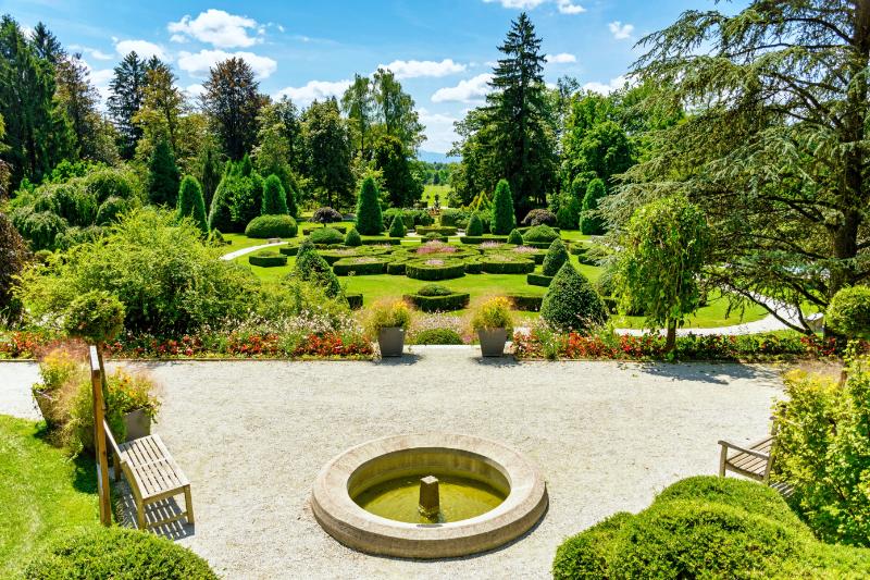 Green foliage at Waldstein Garden