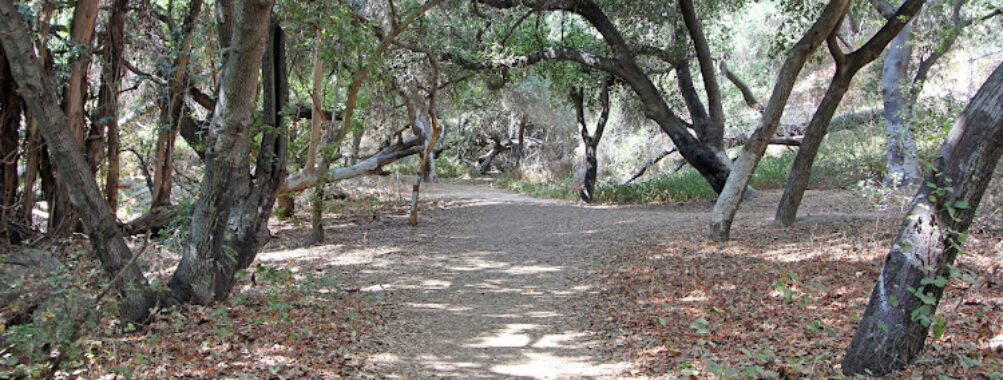 Walnut Creek Community Regional Park Travel Forum Reviews