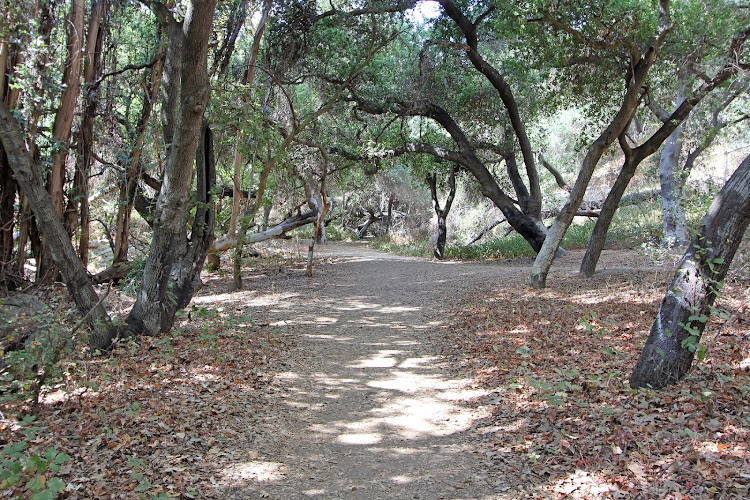 Walnut Creek Community Regional Park