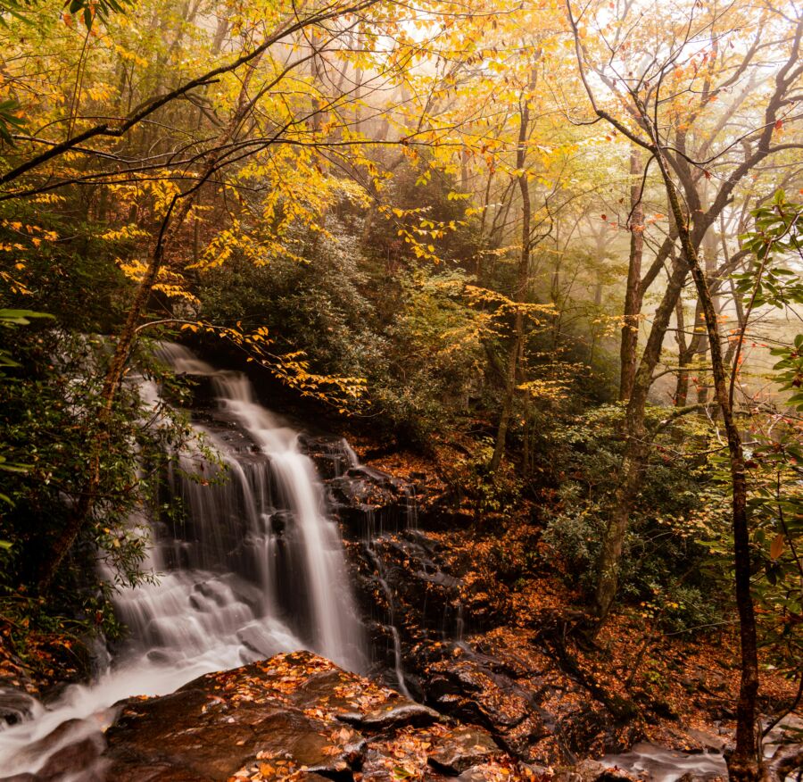 Waterfalls in the middle of the forest in Gaitlinburg