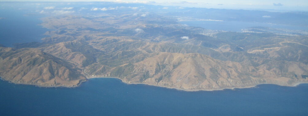 Wellington Scenic full-day private tour with lunch Review