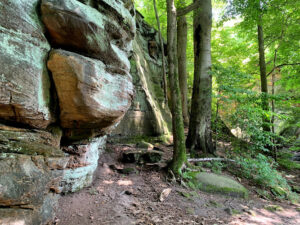 Whipps Ledges