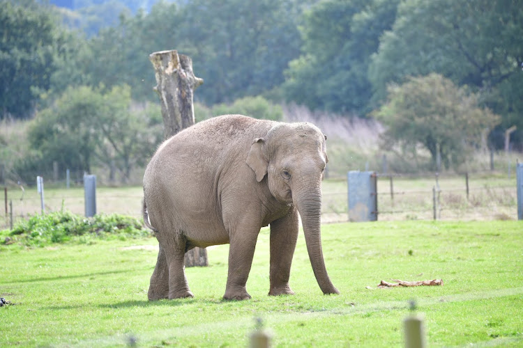 Whipsnade Zoo