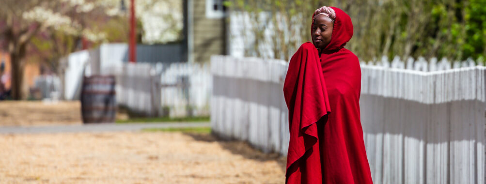 Williamsburg a history of slavery guided tour Review