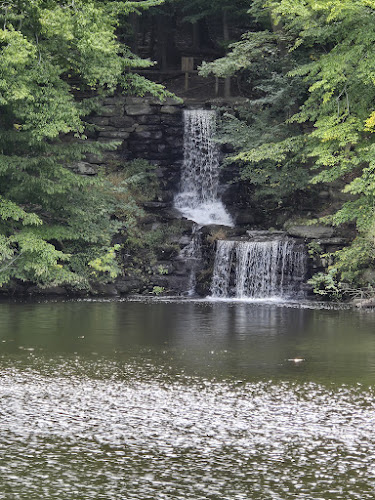 Winkler Botanical Preserve