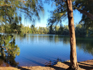 Wolf Lake Park