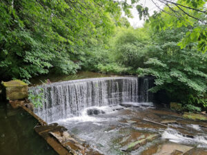 Yarrow Valley Country Park