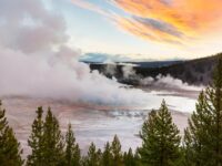 Yellowstone National Park, USA