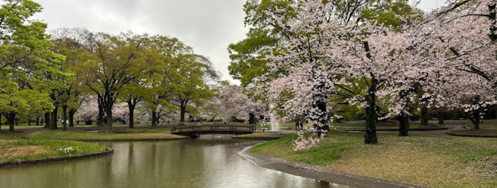 Yoyogi Park Travel Forum Reviews